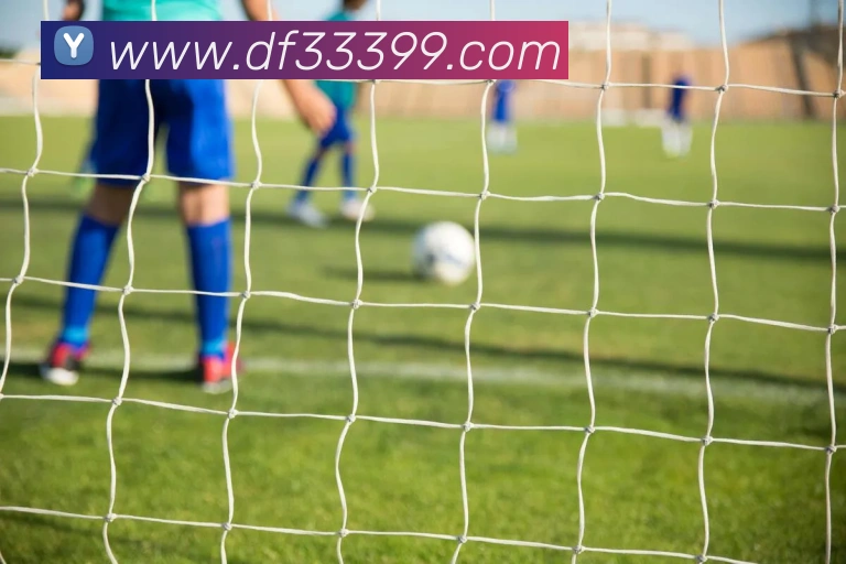 巅峰国际APP 高清赛事图